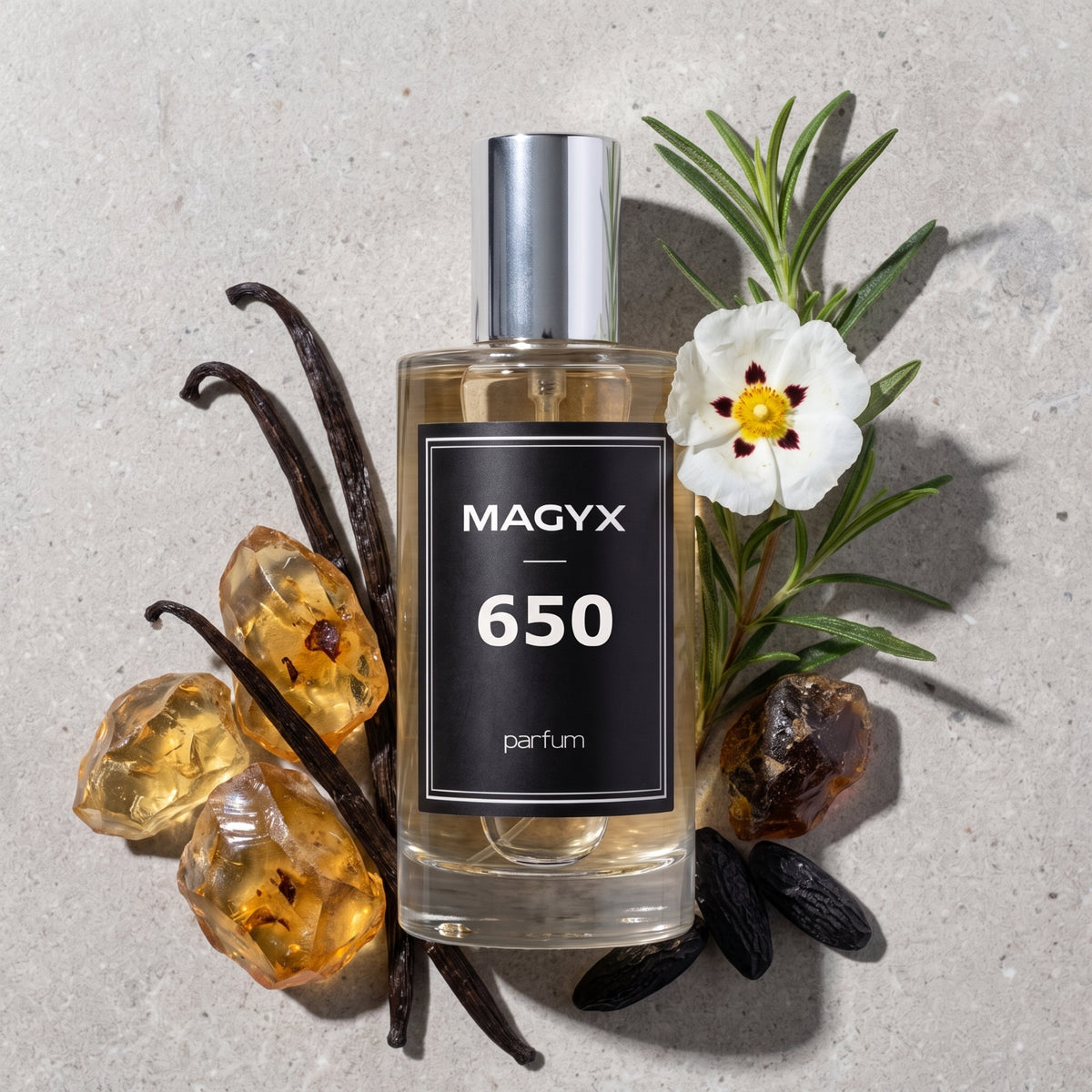 Smells like Grand Soir - No. 650