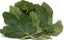 Fig Leaf
