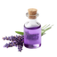 Lavender Extract